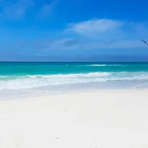 calypso-3-807.panamacity-beachhotels.com/
